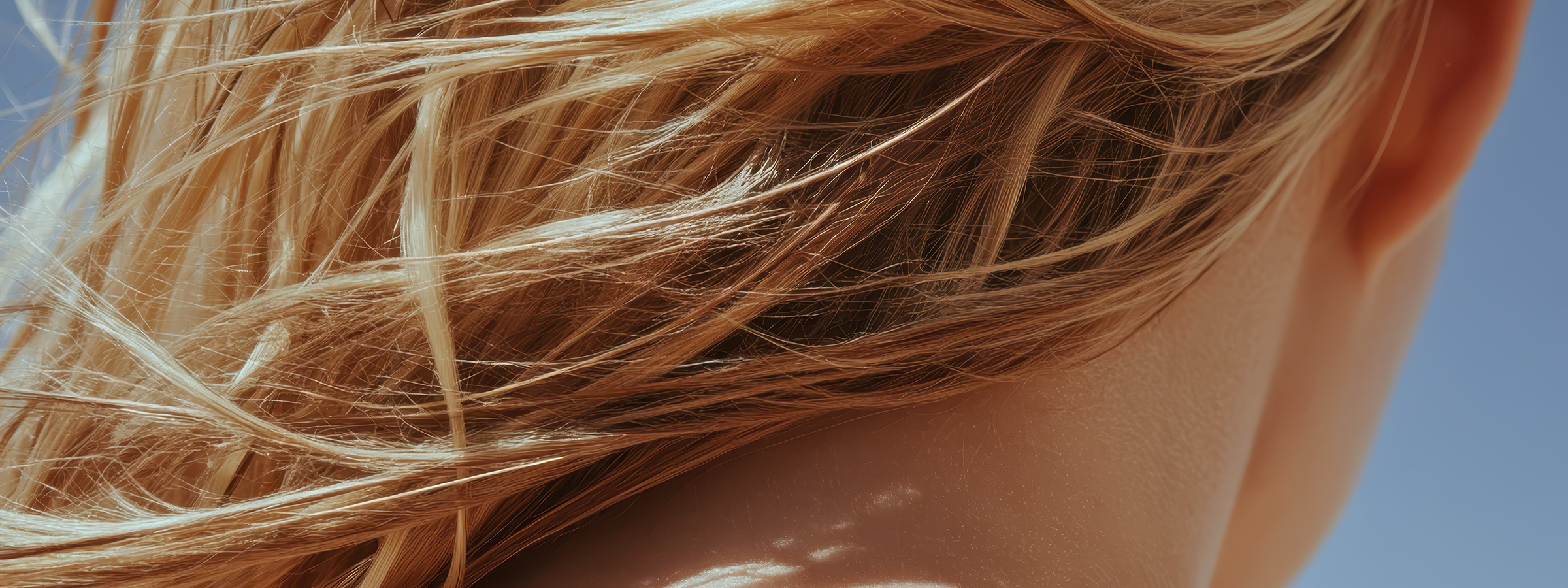 Natural & Clean Hair Care Products