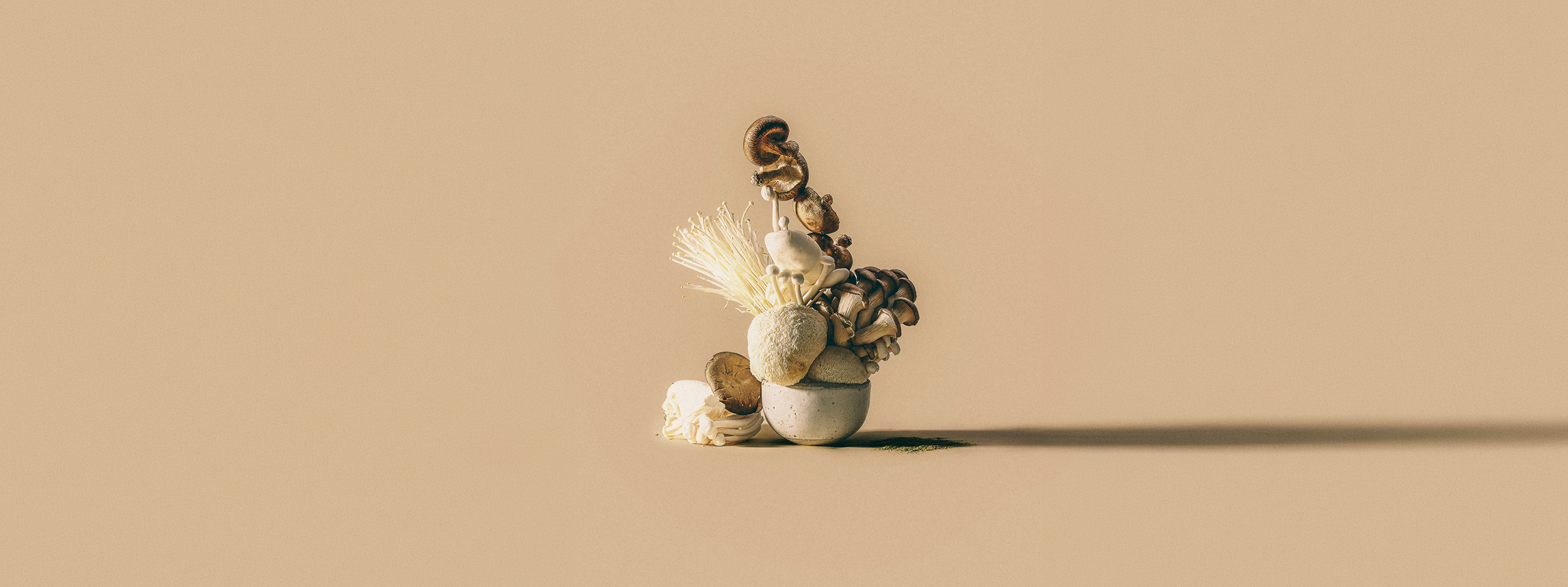 Plant-Based Natural Remedies & Medicine