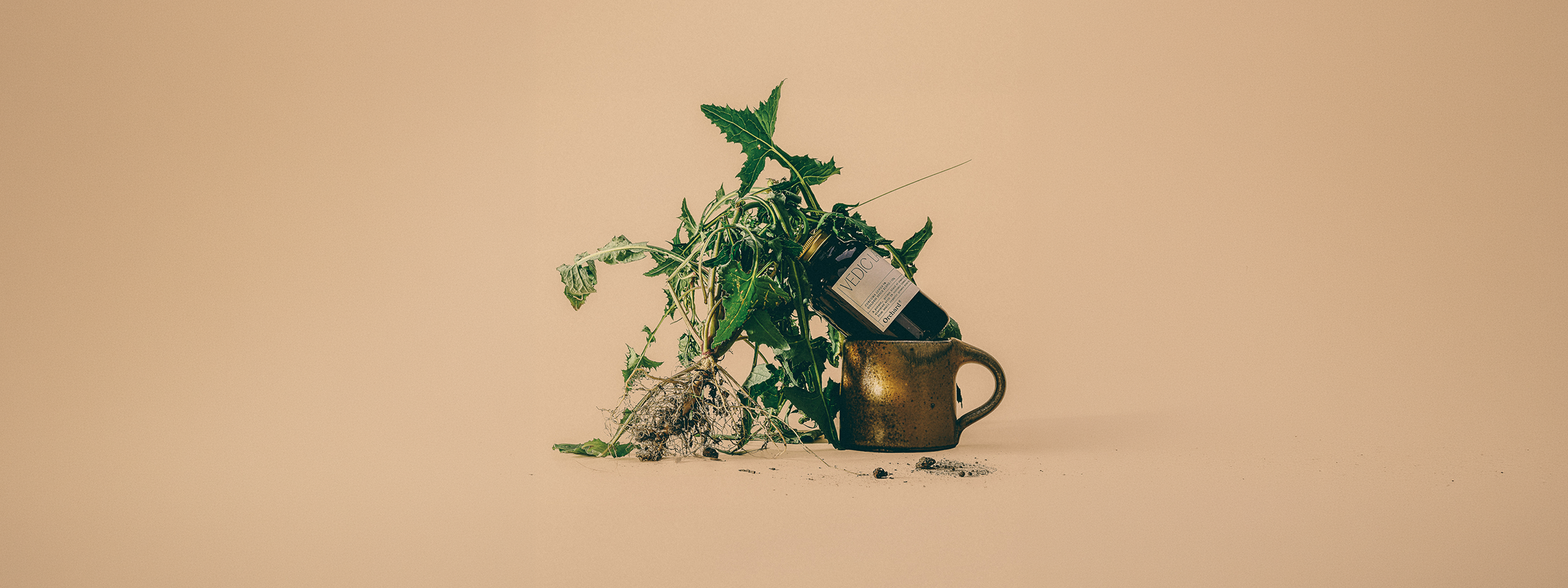 Organic & Natural Tea and Elixirs