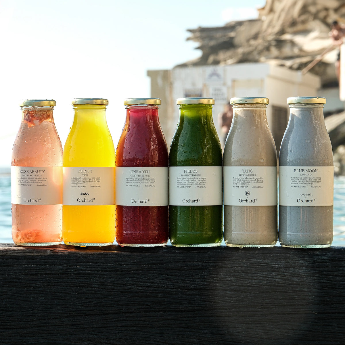 The Mix & Match 6 Pack
