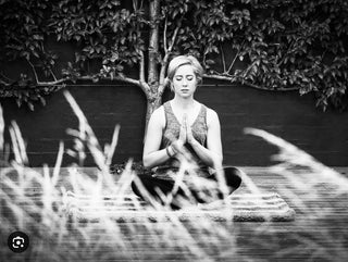 Samadhi Luxury Health Retreat