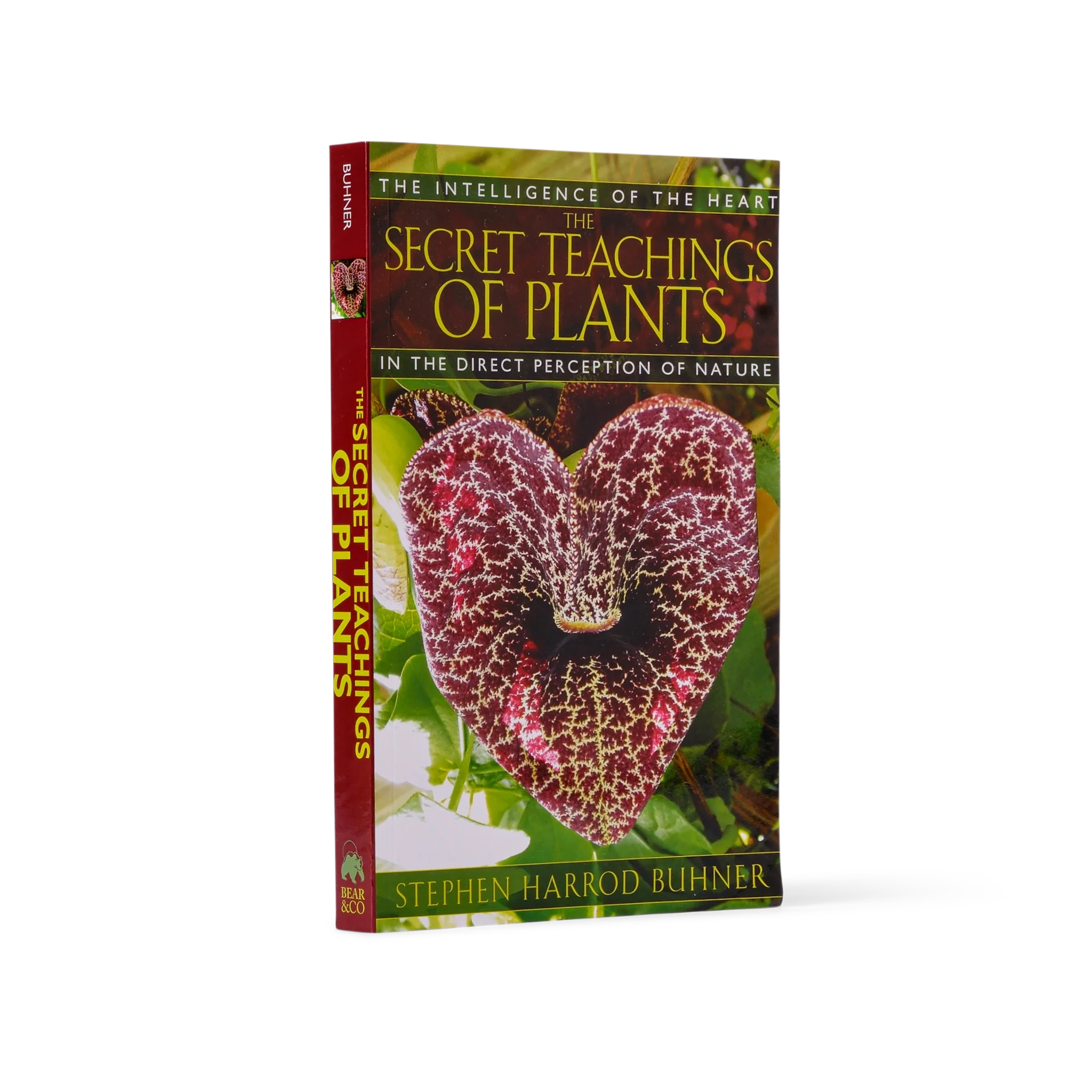 The Secret Teachings of Plants