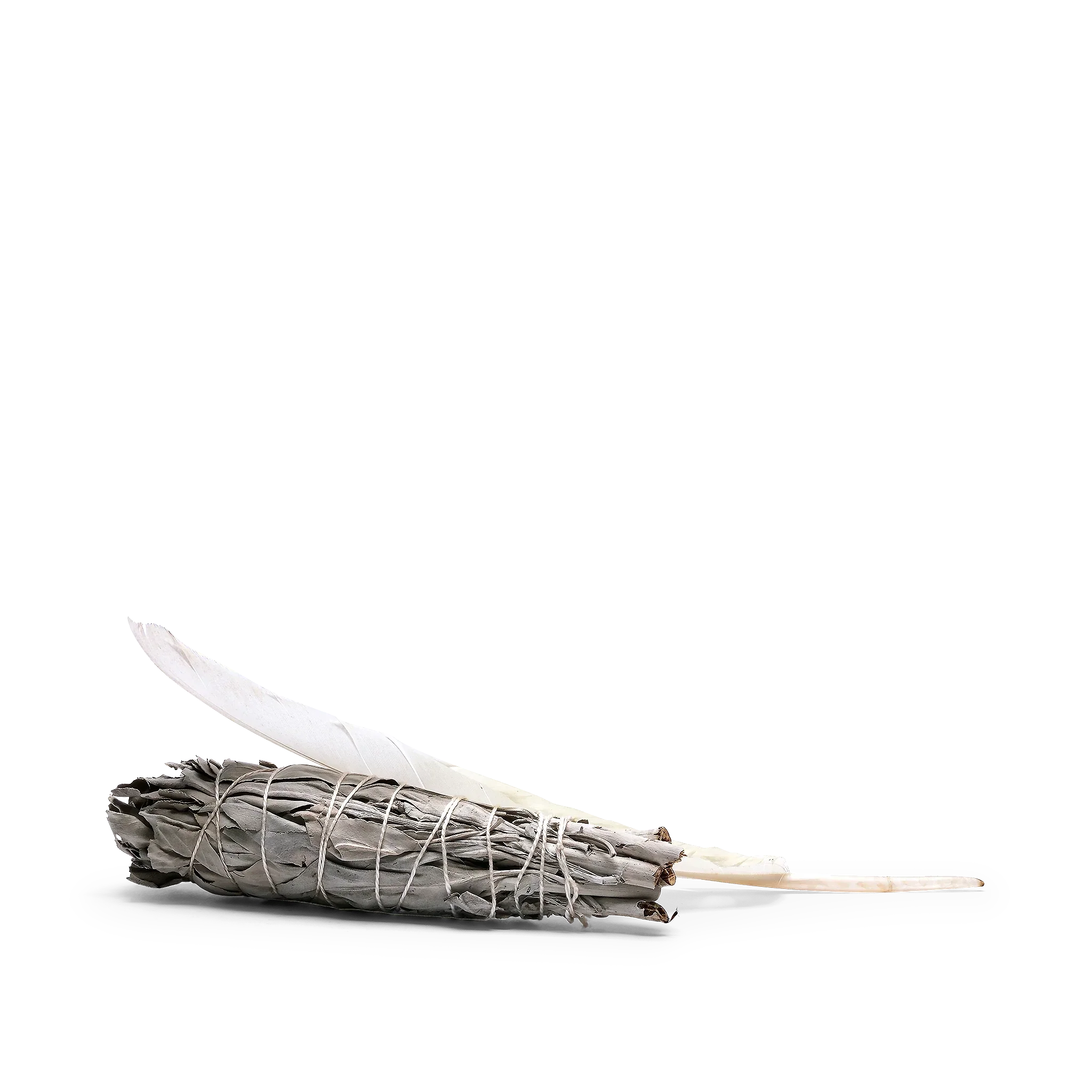 Sage Stick