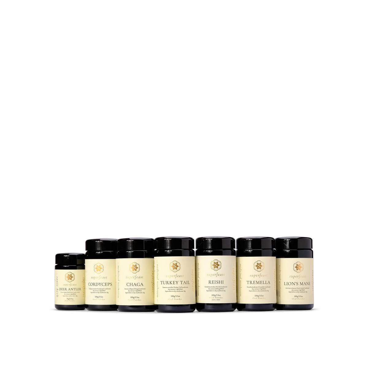 Chaga